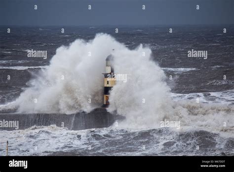 The beast from the east Stock Photo - Alamy