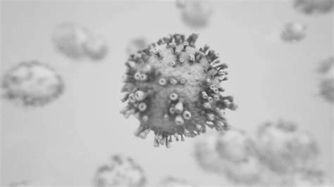 Virus Under Microscope - Stock Motion Graphics | Motion Array