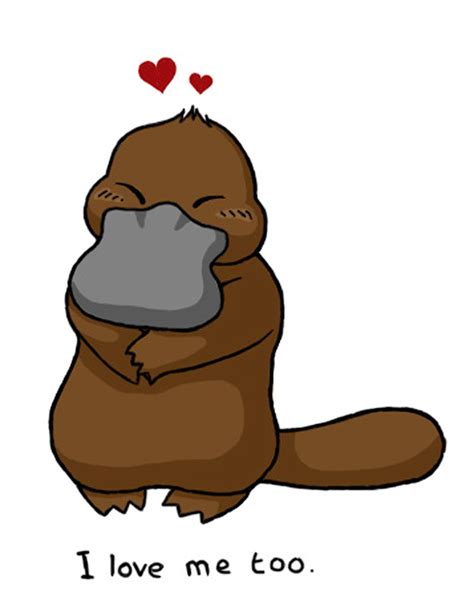 Free Cartoon Platypus, Download Free Cartoon Platypus png images, Free ...