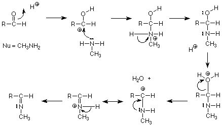 Imine Formation