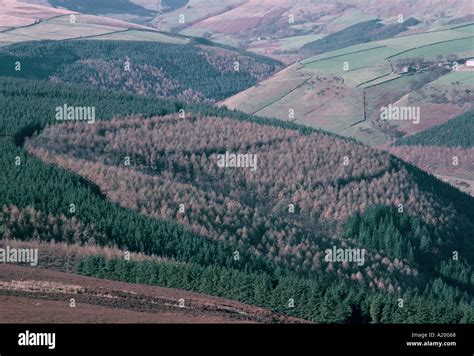 Ladybower reservoir reservoir in the Peak District Stock Photo - Alamy