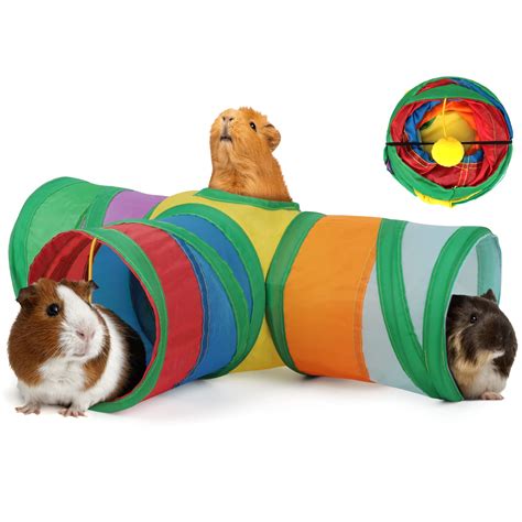 Best Guinea Pig Tunnels For Happy And Healthy Pets - Pets Collector