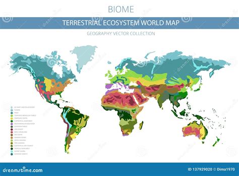 Vatio diluido Fonética mapa de los biomas del mundo Monografía Pensar doble