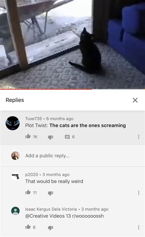 Guy yells at some cats : r/im14andthisiswoooosh