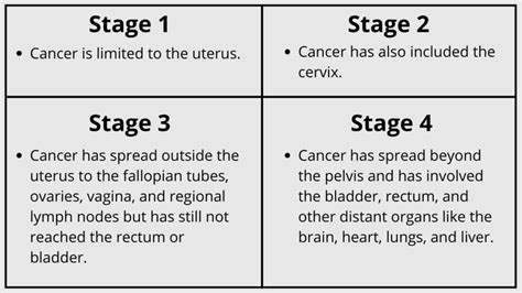 Endometrial Cancer - Symptoms, Causes, and Management - Pains Portal