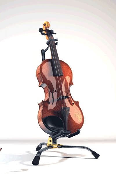 Violin GIF - Find & Share on GIPHY