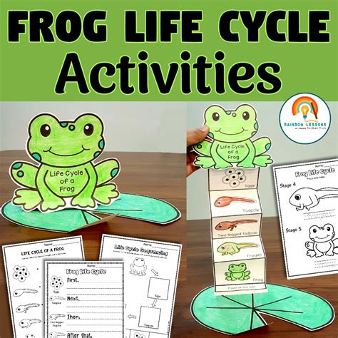 Life Cycle Of Frog Activities | Frog Life Cycle Craft | Kindergarten ...