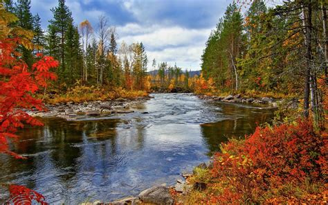 River, trees, autumn, nature scenery wallpaper | nature and landscape ...