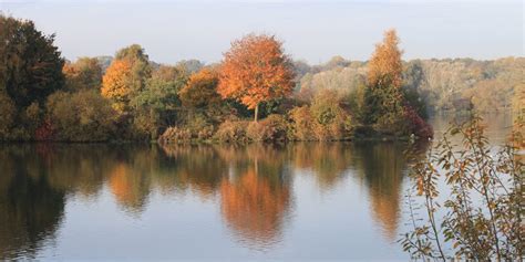 Autumn Festival Events at Nene Park – The Local View – Cambridge