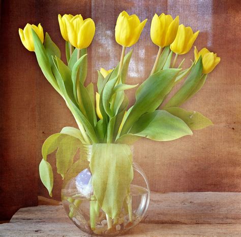 Free Images : wood, flower, tulip, vase, botany, flora, tulips, spring flowers, yellow flowers ...