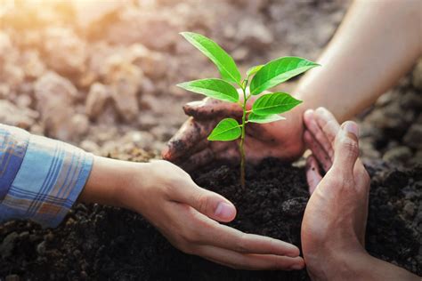 Planting 170 Saplings, Faculty of Science and Health in Collaboration with Directorate of ...