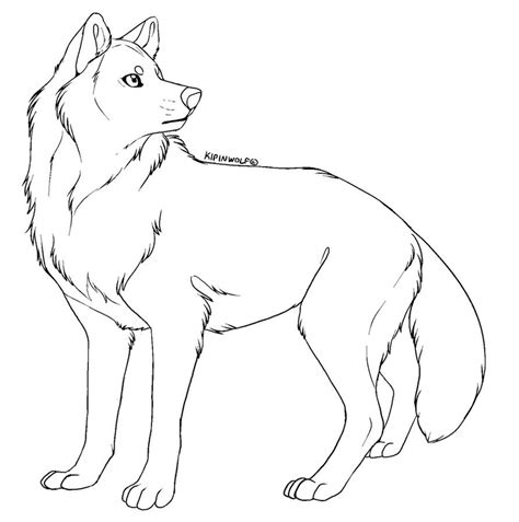 Free lineart - wolf by Kipine on DeviantArt