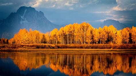 Autumn Trees On Lake, HD Nature, 4k Wallpapers, Images, Backgrounds ...