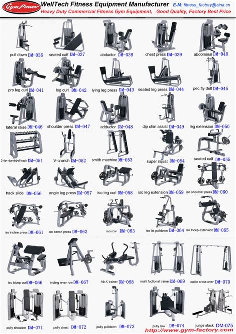 machines | Ejercicios para piernas, Maquinas de gym, Ejercicios