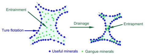 Minerals | Free Full-Text | Understanding the Entrainment Behavior of ...