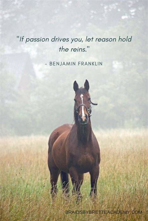 Driven by passion | Horse quotes, Inspirational horse quotes, Equine quotes