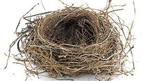 Empty Nest – 5 Tips – DuAnne Seeley