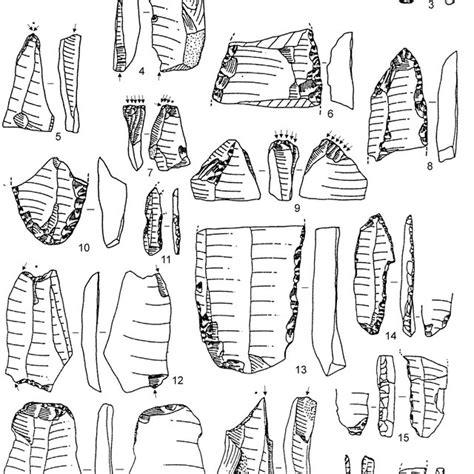 Major technological groups at the Gravettian sites. | Download Scientific Diagram