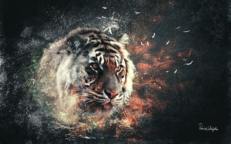 Tiger Art, White Tiger Art HD wallpaper | Pxfuel