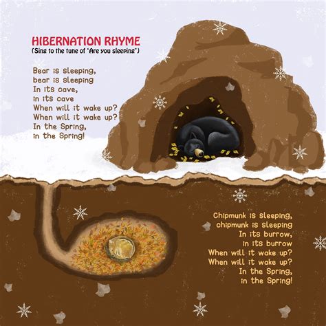 Is Hibernation An Adaptation