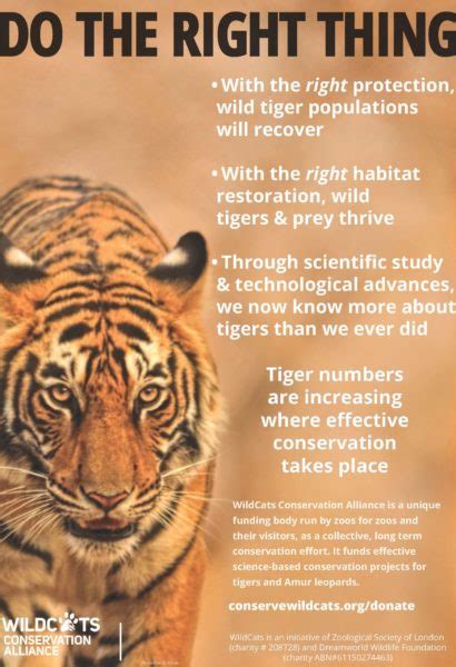 WildCats Posters & Leaflets | WildCats Conservation Alliance