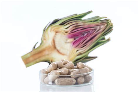 Artichoke Extract Benefits For Health And Wellness - Gundry MD