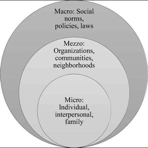 Micro-, mezzo-, and macro- levels of the social ecology | Download ...