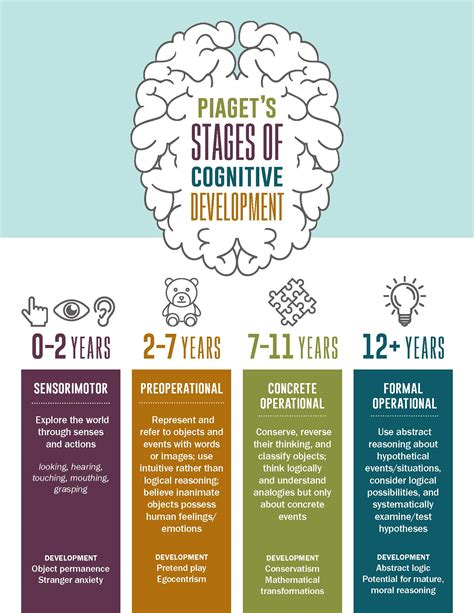 Piaget Stages Of Cognitive Development Reddit Online | ladorrego.com.ar