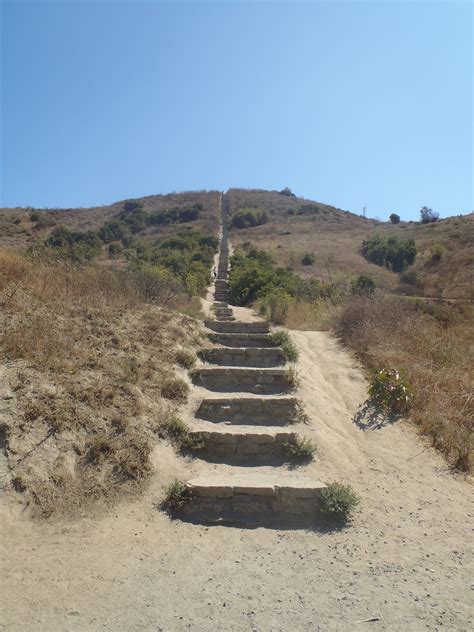 Fit for Free: Baldwin Hills Scenic Overlook