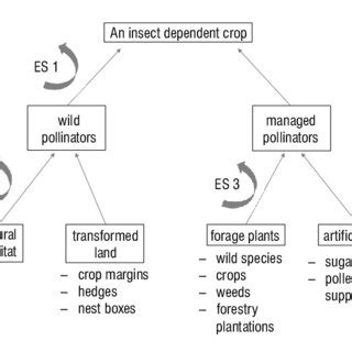 (PDF) Are managed pollinators ultimately linked to the pollination ecosystem service paradigm?