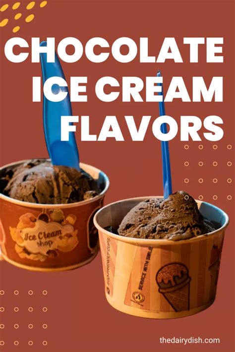 Chocolate Ice Cream Flavors: The Classics and Beyond