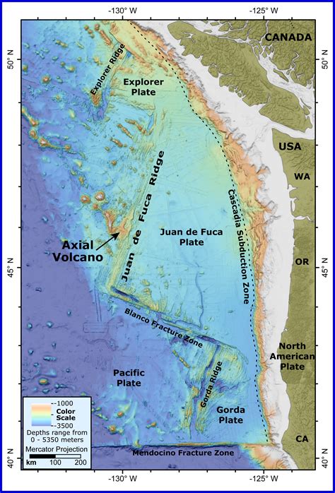 Researchers Think Axial Seamount is Erupting - Right on Schedule | NOAA Pacific Marine ...