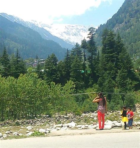 Kullu - Manali Special Tour Package (39603),Holiday Packages to Kullu ...