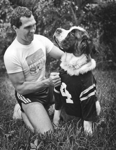 Gumbo rah-rah: How a St. Bernard dog became the New Orleans Saints mascot | Saints | nola.com