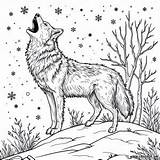 Coloring Page Of The Wolf howling At Night Download Or Print For Free sketch template