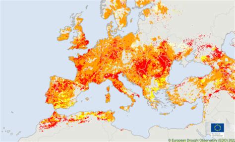 Europe is in its worst drought in 500 years, study finds | KEEP the FAITH