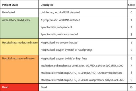 A minimal common outcome measure set for COVID-19 clinical research ...