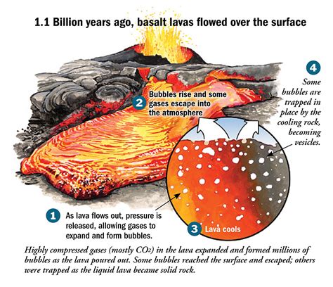 Geology Natural History illustrator