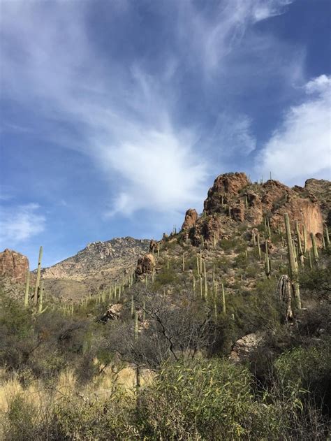 Ventana Canyon Hiking Trail (Tucson, AZ): Top Tips Before You Go ...