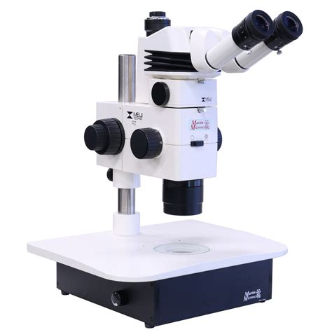 Stereomicroscopes – Martin Microscope