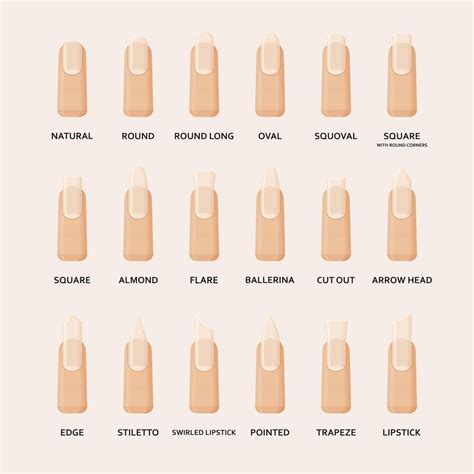 The nail shapes you need to know for the perfect mani | Different nail ...