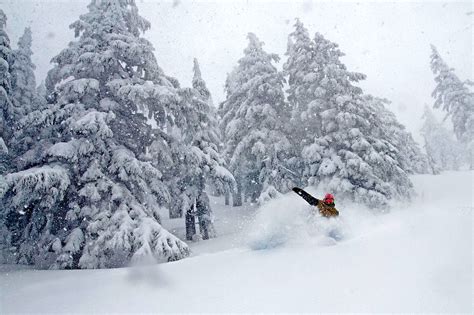 Top 20 Snowfall Totals in North America: (All With Over 400" This ...