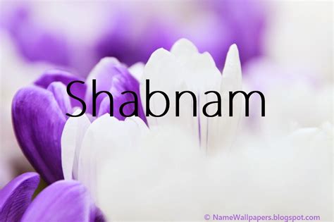 Shabnam Name Wallpapers Shabnam ~ Name Wallpaper Urdu Name Meaning Name ...