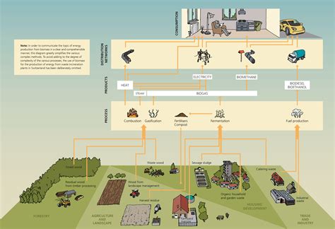 Biomass Fuel Examples