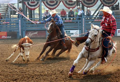 Team Roping ... one day i will do this! | Team roping, Roping horse ...