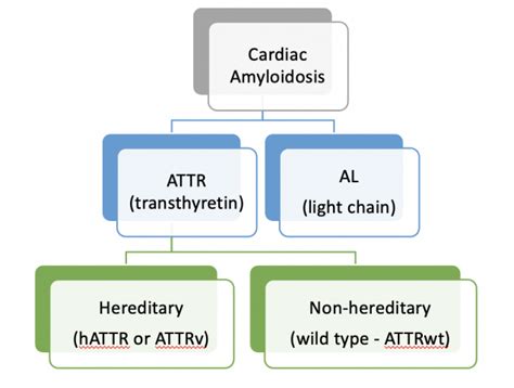 For Providers: A brief overview of amyloidosis | SCAN-MP