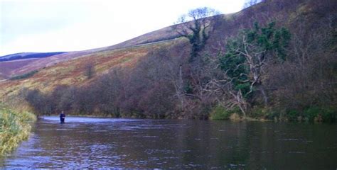 TweedBeats - Supporting salmon fishing on the Tweed, Scotland & England