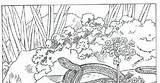 Garters Coloring Pages sketch template