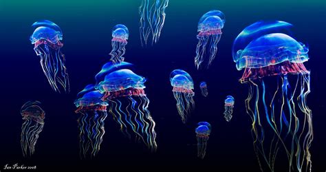60+ 4K Ultra HD Jellyfish Wallpapers | Background Images