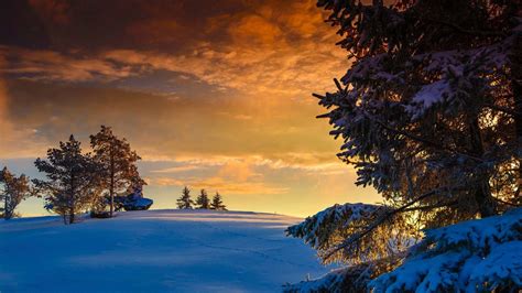 Winter Sunrise Nature Wallpapers - Top Free Winter Sunrise Nature Backgrounds - WallpaperAccess